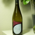 Au bord de la vienne Chinon 2010